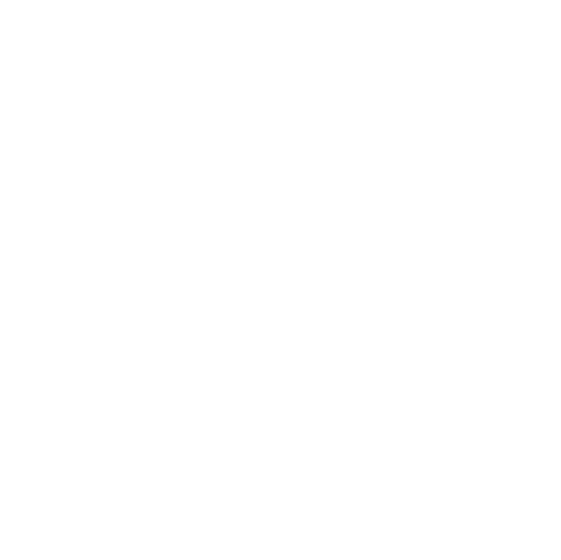 Flossbar Logo & Color Brandguide